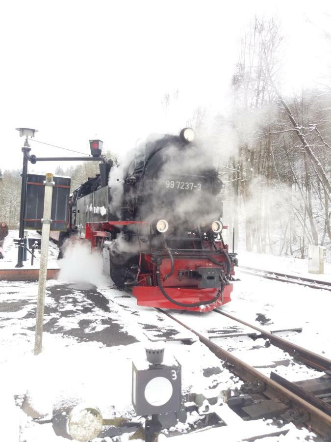 "Ferienhaeuser" Am Waldesrand Mit Und Ohne Garten Knusperhaeuschen, Teufelsloch, Walpurgishuette, Brockenhuette Wernigerode Εξωτερικό φωτογραφία